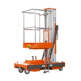 Мачтовый подъёмник TOR GTWY10-100 DC, 125 кг, 10/12 м