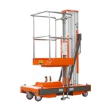Мачтовый подъёмник TOR GTWY8-100 DC, 125 кг, 8/10 м